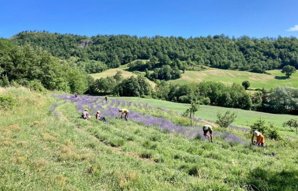 timeline-2022-autosufficienza-20