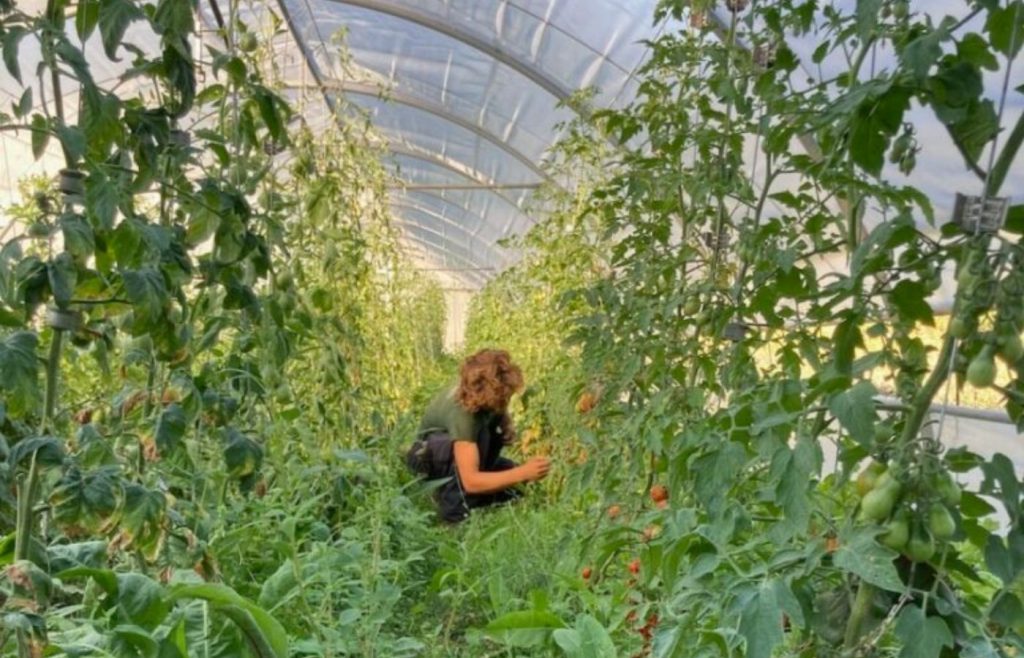 timeline-2022-autosufficienza-27