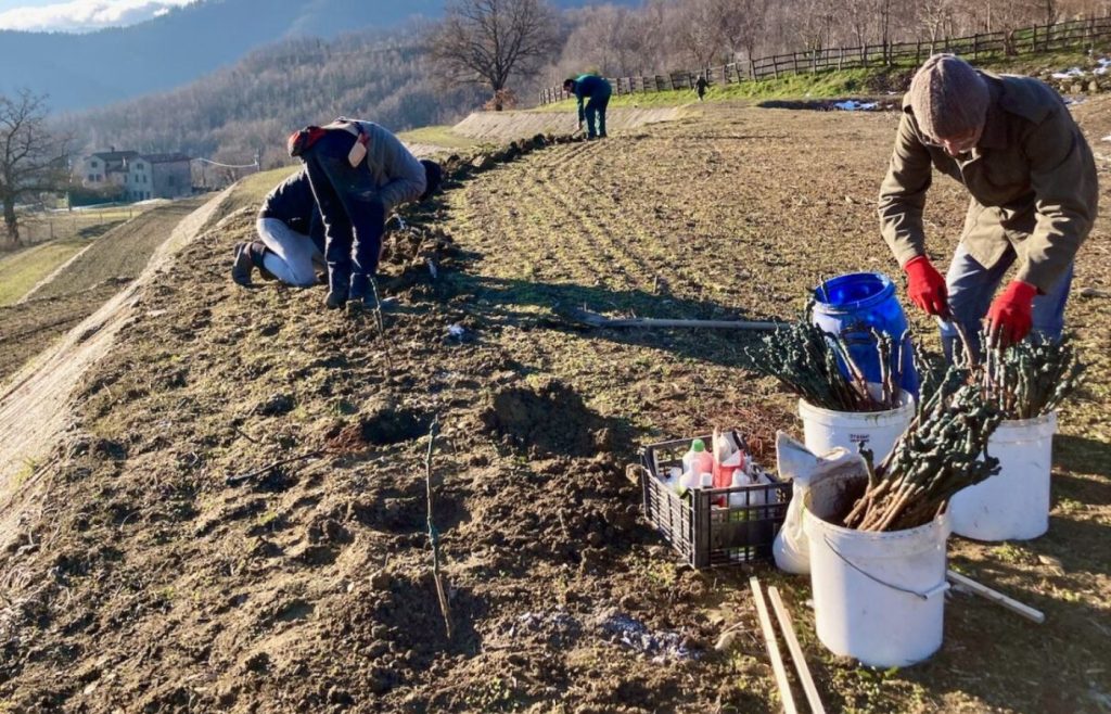 timeline-2022-autosufficienza-3