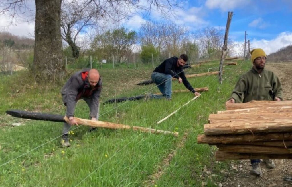 timeline-2022-autosufficienza-8