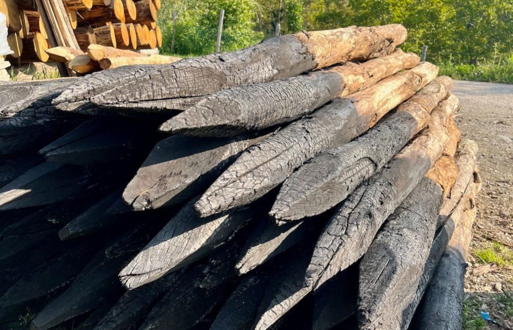 timeline-2023-autosufficienza-1