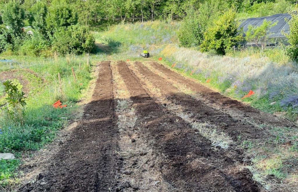 timeline-2023-autosufficienza-12