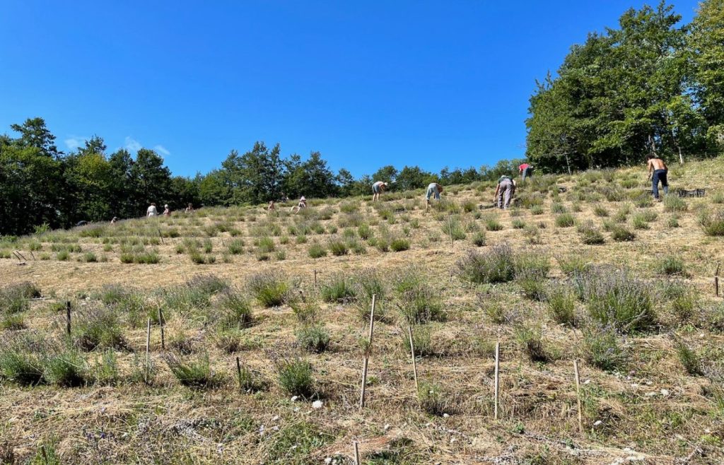 timeline-2023-autosufficienza-13