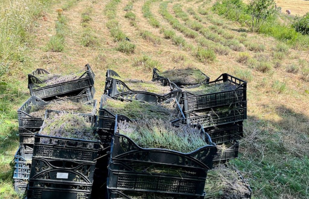 timeline-2023-autosufficienza-14