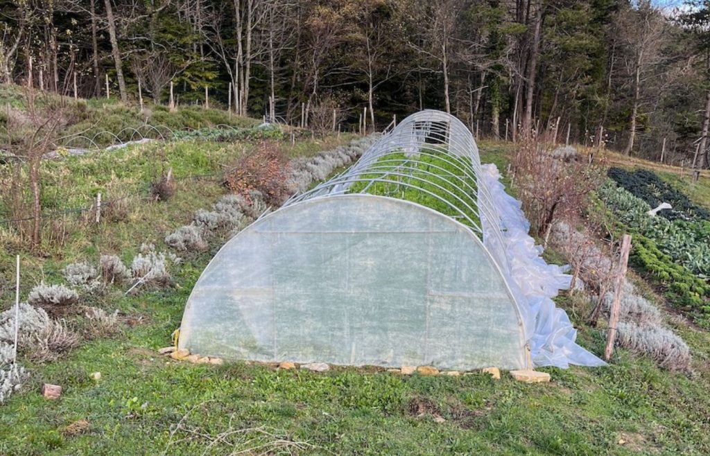 timeline-2023-autosufficienza-27