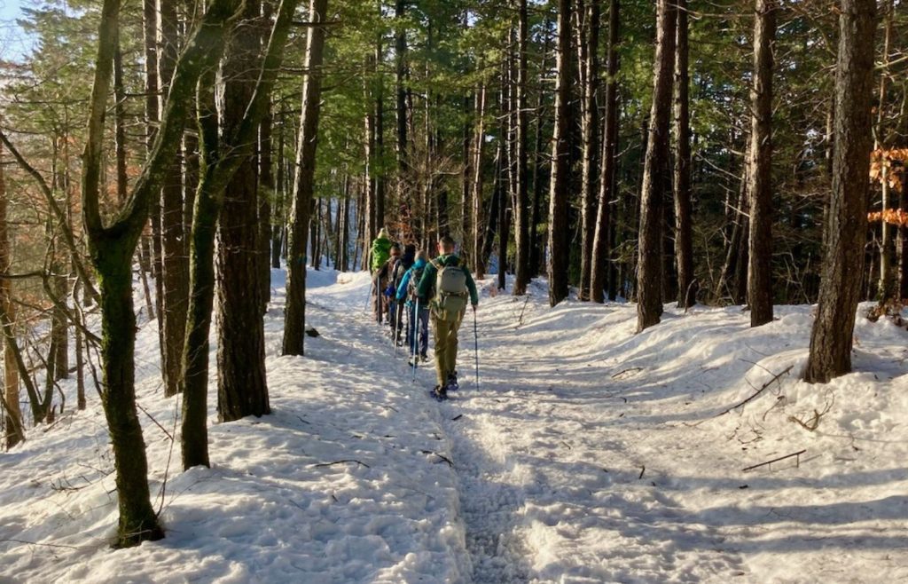 timeline-2023-autosufficienza-29