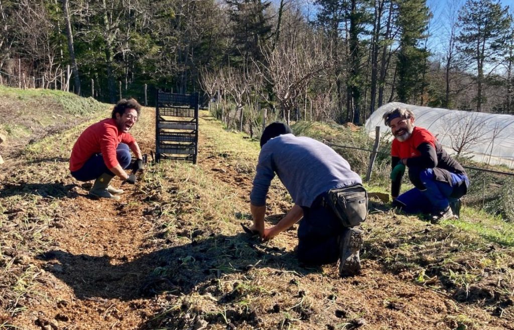 timeline-2023-autosufficienza-34