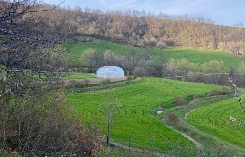 timeline-2023-autosufficienza-38