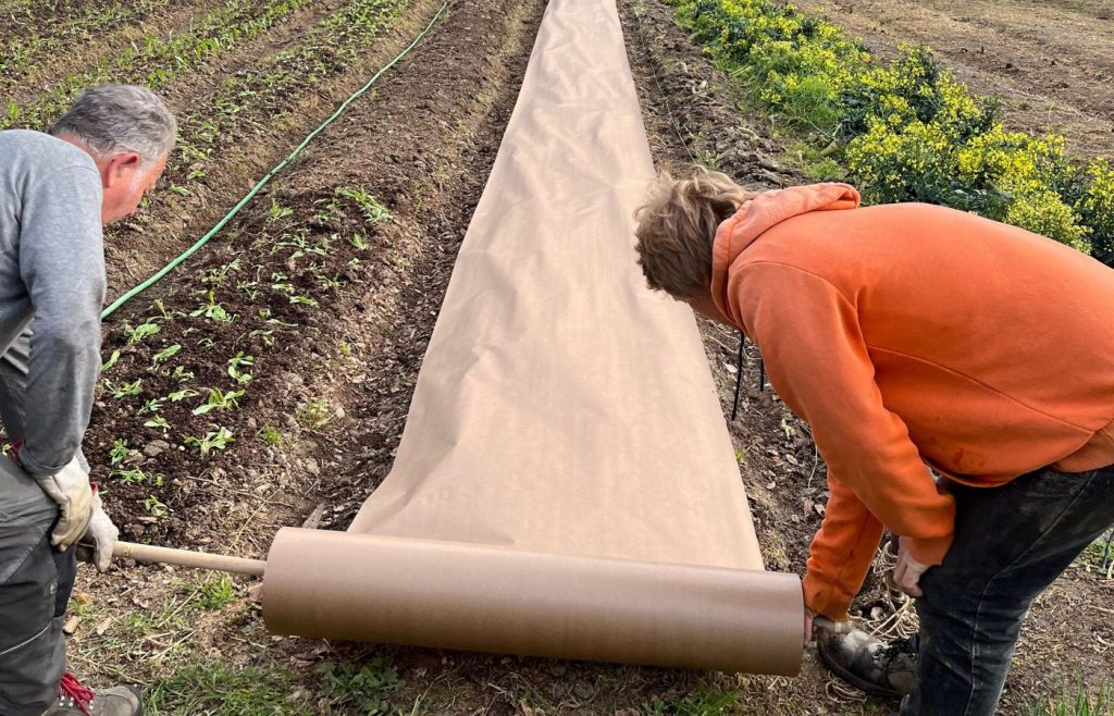 timeline-2024-autosufficienza-12