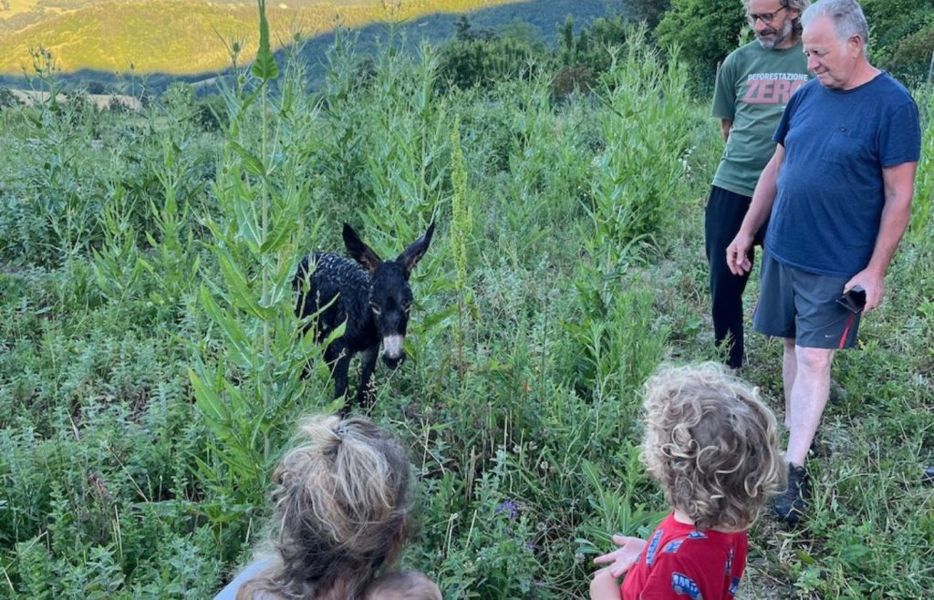 timeline-2024-autosufficienza-22