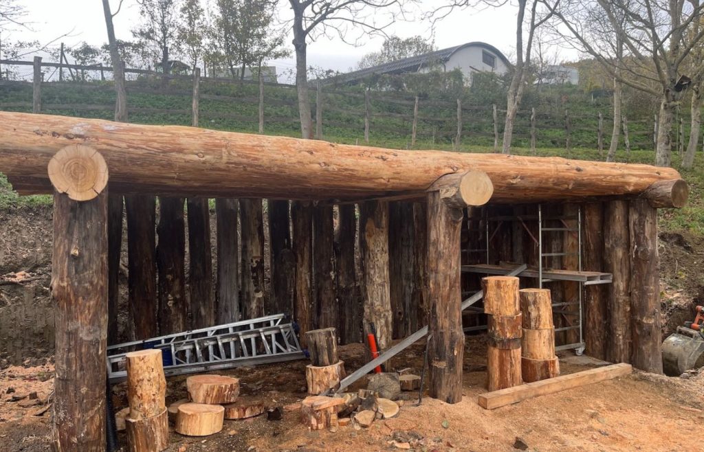 timeline-2024-autosufficienza-29