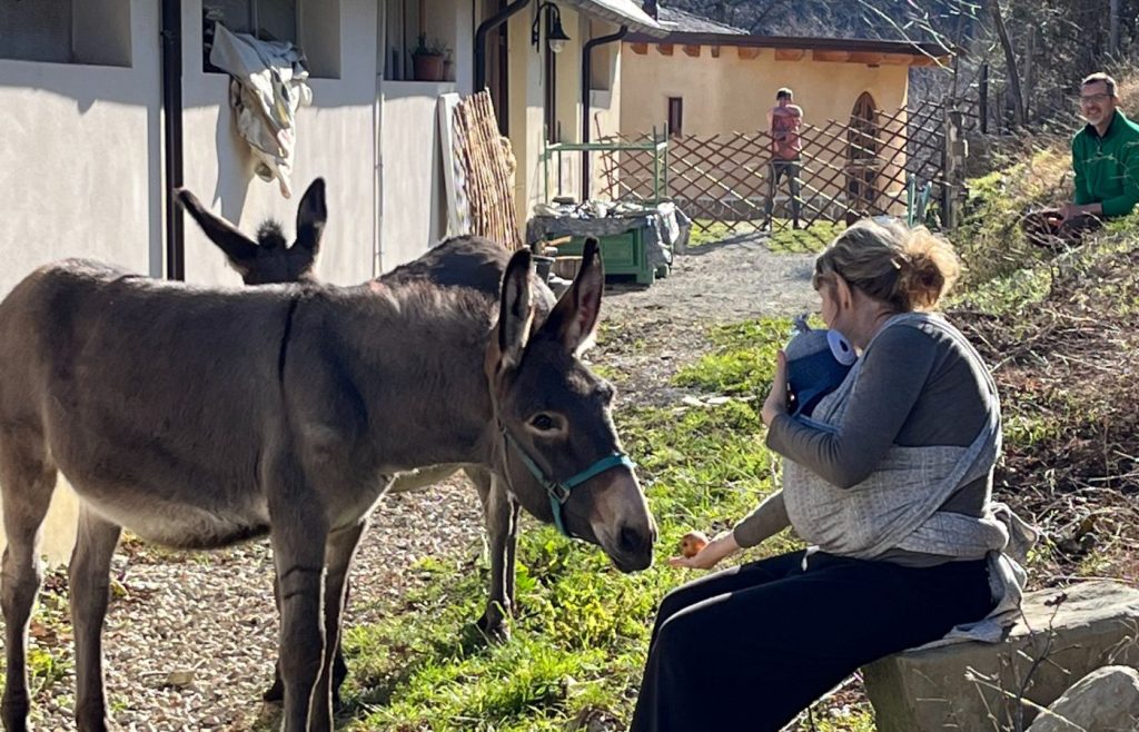 timeline-2024-autosufficienza-4