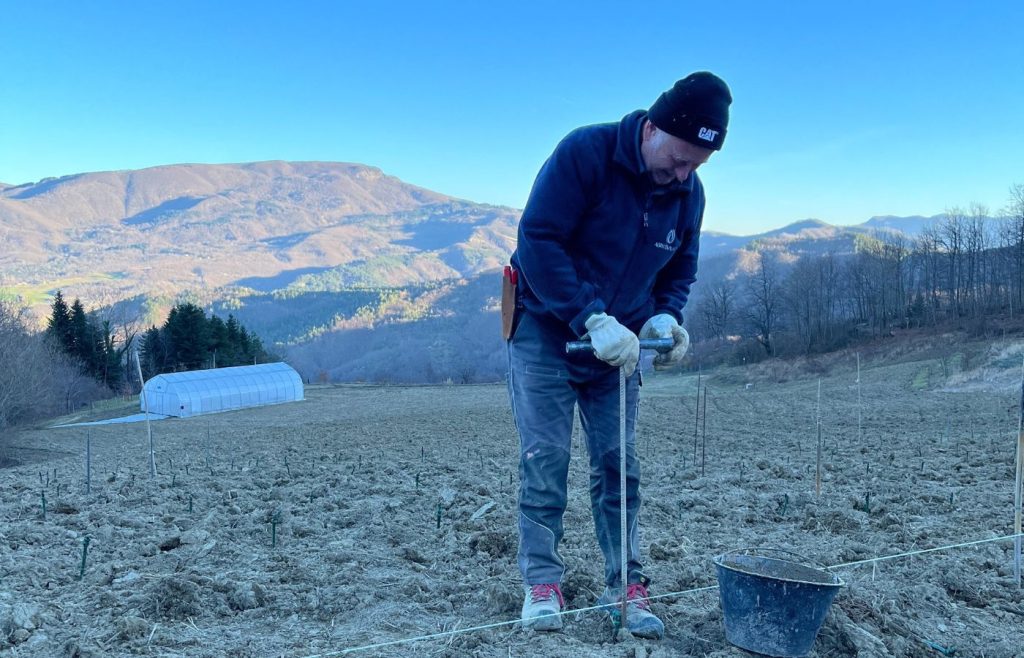 timeline-2024-autosufficienza-5