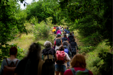 camminata-meditativa-alberi