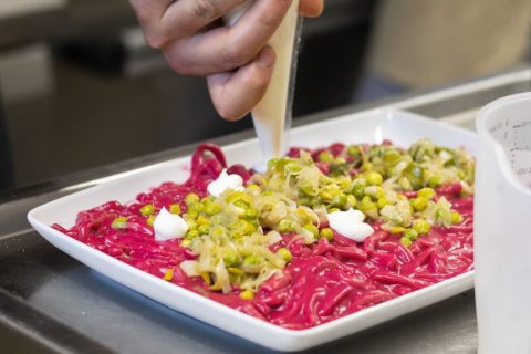 cucina-pizza-generale-autosufficienza-4