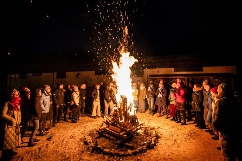 detox-capodanno-falo