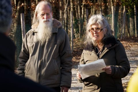 detox-capodanno-lucilla-hubert-spirito-alberi