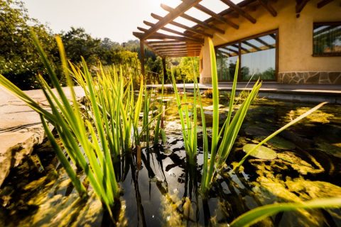 fitodepurazione-autosufficienza-3