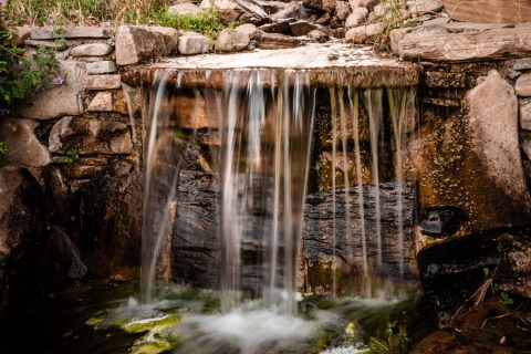 fitodepurazione-autosufficienza-6