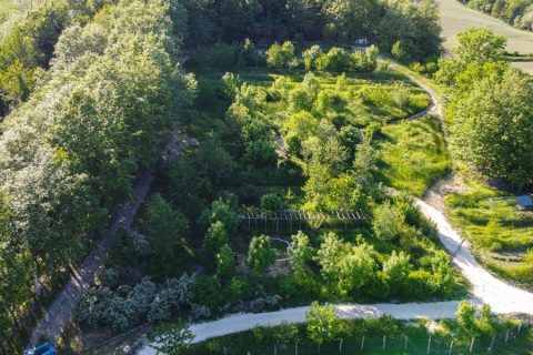 food-forest-autosufficienza-2