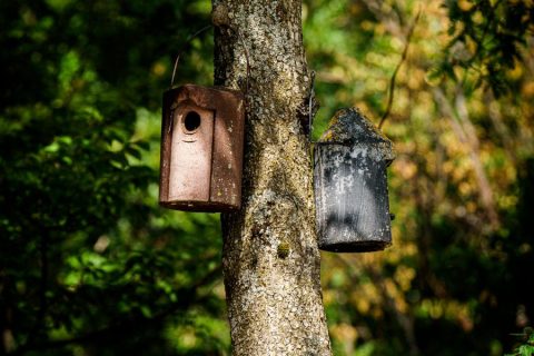 il-centro-agricampeggio-uccelli-autosufficienza