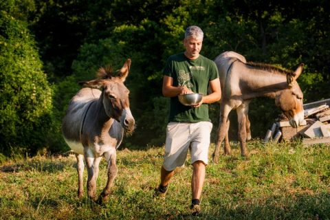 il-centro-azienda-agricola-asino-autosufficienza