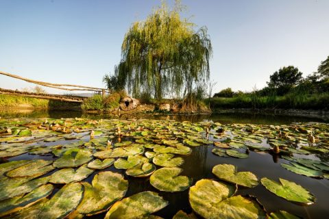 il-centro-azienda-agricola-lago-autosufficienza-2