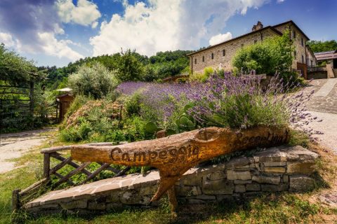il-centro-bioagriturismo-cartello-legno-autosufficienza
