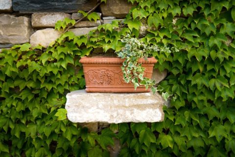 il-centro-bioagriturismo-dettagli-autosufficienza-2