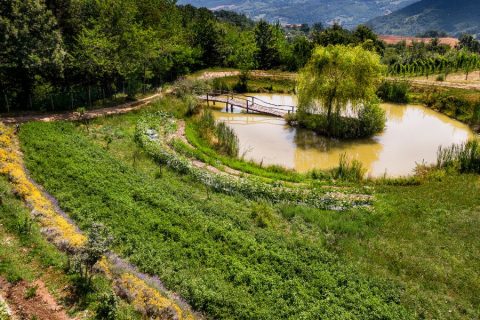 orto-biointensivo-lago-autosufficienza-1