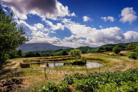 orto-biointensivo-lago-autosufficienza
