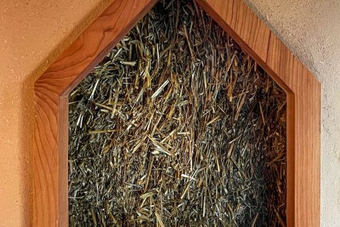 sala-ottagonale-tempio-autosufficienza-12