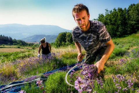 seminativi-estensivi-autosufficienza-2